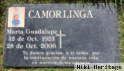 Maria Guadalupe Camorlinga