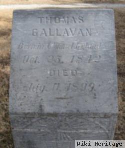 Thomas Gallavan