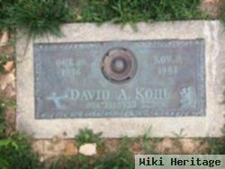 David Allen Kohl