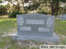 Harriet Elizabeth Stout Hayward