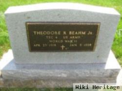 Theodore Roosevelt "ted" Beahm, Jr