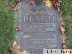 Irene M Pesch