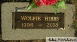 Wolfie Hibbs