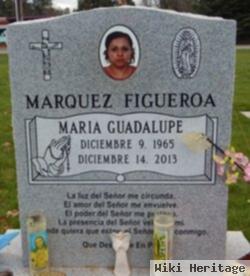 Maria Guadalupe Figueroa Marquez