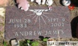 Andrew James Ludwig