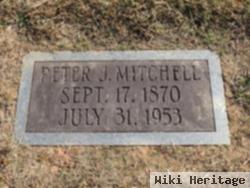 Peter Johnson Mitchell