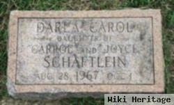 Darla Carol Schaftlein