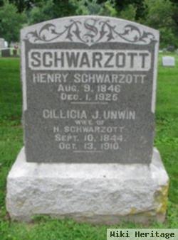 Henry Schwarzott