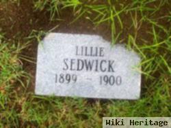 Lillie Sedwick