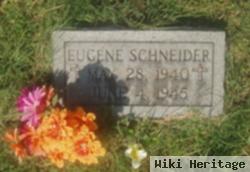 Eugene Schneider