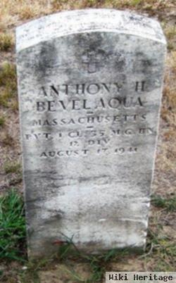 Anthony H Bevelaqua