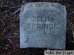 Zelma Springs