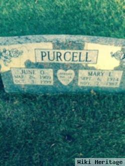 Mary L Purcell