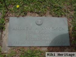 Andrew Herbert Anderson