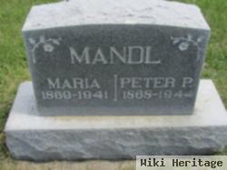 Peter P Mandl