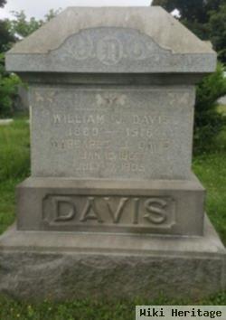 William J Davis