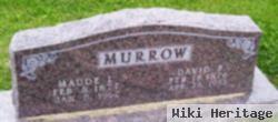 David Blue Murrow