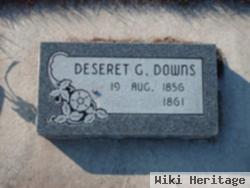 Deseret Greathouse Downs