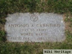 Antonio A Carneiro