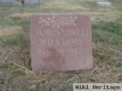 James Lowell Williams