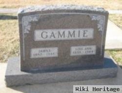 Lois Ann Nichols Gammie