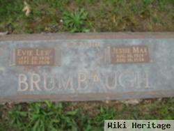 Evie Lew Brumbaugh