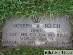 Joseph A Selesi