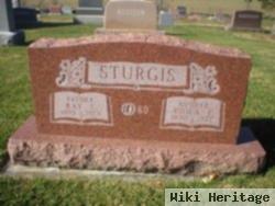 Ray E. Sturgis