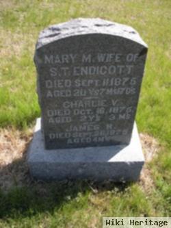 Mary M. Stewart Endicott