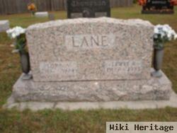 Lewis A. Lane