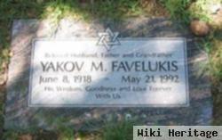 Yakov M Favelukis