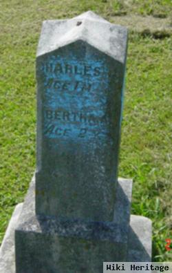 Charles Hobert Martin