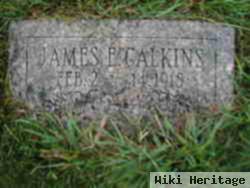 James E. Calkins