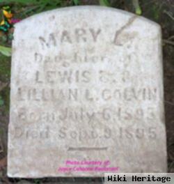 Mary L. Colvin