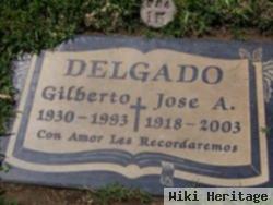 Jose A Delgado