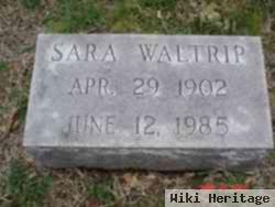 Sara Waltrip