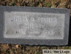 Julia Ann Fisher Miesse