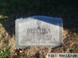 John T Brechka