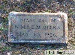 Infant Daughter Meeks