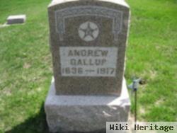 Andrew Gallup