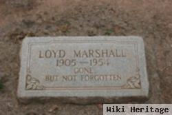 Nathaniel Loyd "loyd" Marshall