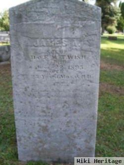 James A. Mctavish