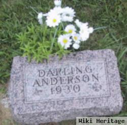 Darling Anderson