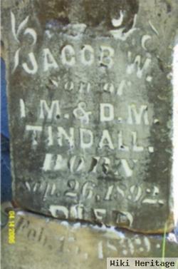 Jacob M Tindall