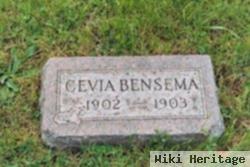 Cevia Bensema