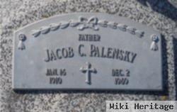 Jacob C Palensky