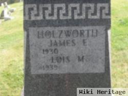 James E Holzworth