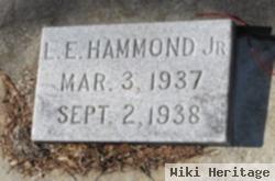 Lonnie Ellsworth Hammond, Jr