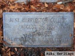 June Herrington Collins