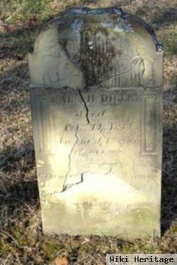 Sarah Bulkley Dilley